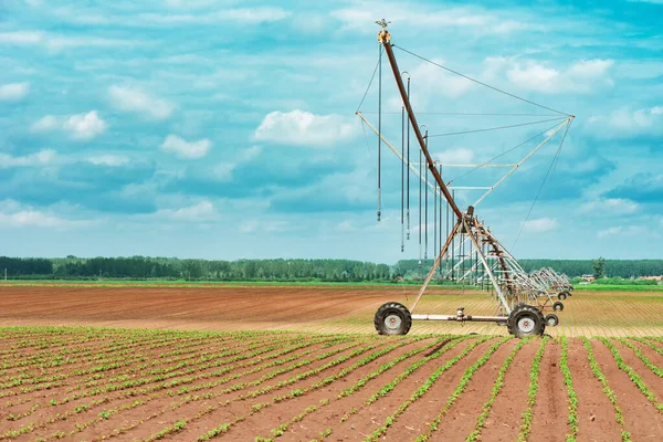 栽培大豆 トウモロコシ畑のピボット灌漑システム 作物の水やり用農業機器 — ストック写真
