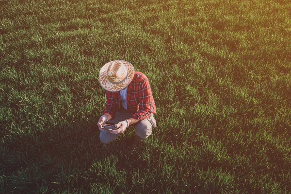 Pšeničný Farmář Používající Dálkový Ovladač Pšeničném Poli Letecký Pohled Pracovníka — Stock fotografie