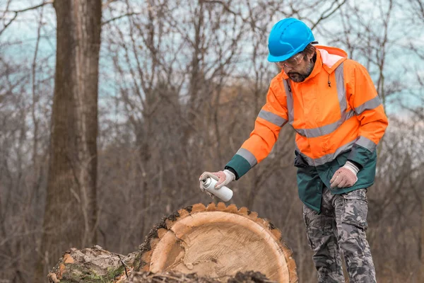 Bosbouwkundige Markering Boomstam Met Rode Aerosol Kan Schilderen Het Bos — Stockfoto