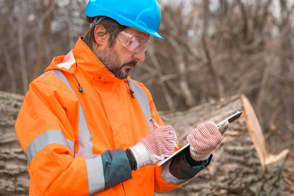 Forestry technician collecting data notes in forest during logging process