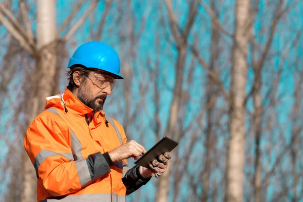 Tecnico Forestale Che Utilizza Computer Tablet Digitale Nella Foresta Raccolta — Foto Stock