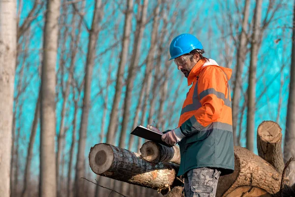 Skogstekniker Skriva Loggning Process Anteckningar Urklipp Anteckningsblock Skogen Lutar Sig — Stockfoto