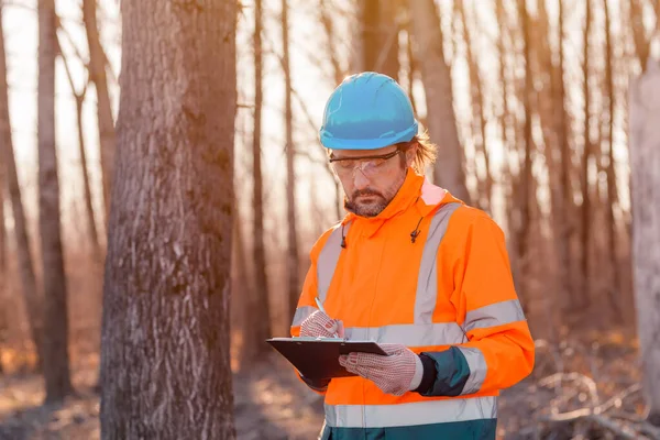 Bosbouwtechnicus Schrijft Notities Kladpapier Het Bos Tijdens Het Ontbossingsproces — Stockfoto