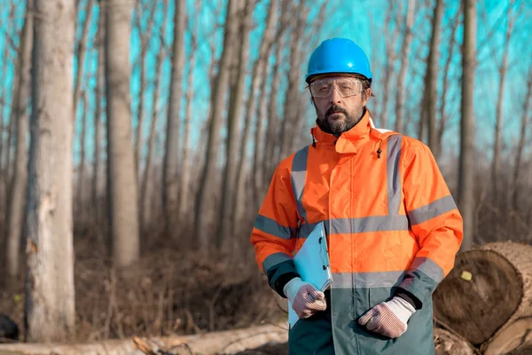 Ormandaki Ağaç Kesme Işlemi Sırasında Ormanlık Teknisyeninin Portresi Veri Toplama — Stok fotoğraf