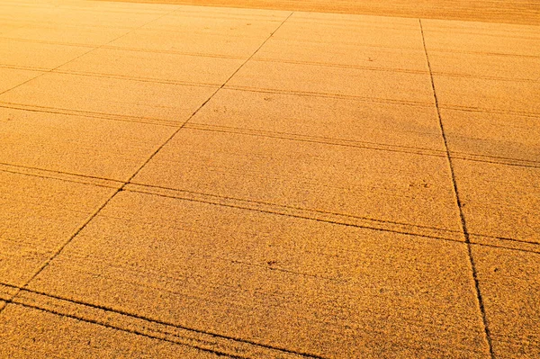 Aerial View Ripe Wheat Field Drone Pov Crop Marks Automated — Stock Photo, Image