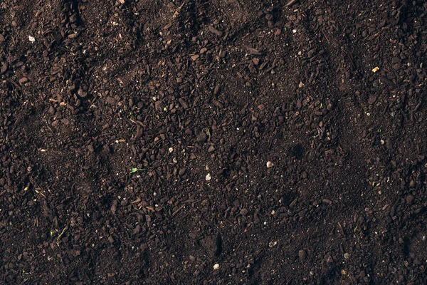 Botany Humus Compost Mix Top View Abstract Natural Texture — Stock Photo, Image
