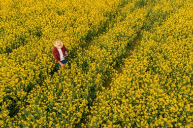 Çiftçinin uzaktan kumandalı uzaktan kumandayla çiçek açan kolza tarlasına baktığı hava görüntüsü. Akıllı tarım kavramı - ekin kontrolü için dron kullanmak.