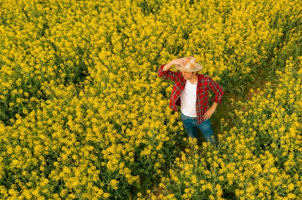 Luftaufnahme Von Landwirt Untersucht Blühendes Rapsfeld Bauarbeiter Von Drohne Pflanzenkontrollkonzept — Stockfoto