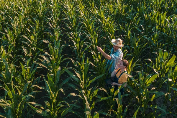 Agrónoma Femenina Con Tableta Que Aconseja Granjero Maíz Campo Cultivo — Foto de Stock