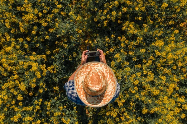 Agronomist Drone Remote Controller Blooming Rapeseed Field Aerial View Farm — Stock Photo, Image