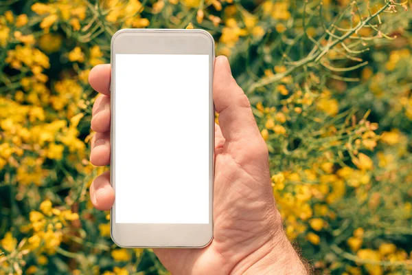 Agricultor Con Pantalla Simulacro Teléfono Inteligente Campo Colza Primer Plano —  Fotos de Stock