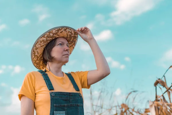 Γυναίκα Αγρότης Καλαμπόκι Ψάχνει Πάνω Από Cornfield Πορτρέτο Της Γυναίκας — Φωτογραφία Αρχείου