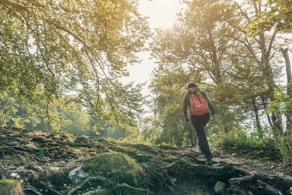 夏休みに森の中を歩く女性ハイカー — ストック写真