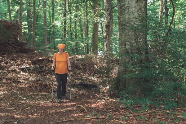 Woman Hiker Trekking Poles Walking Forest Footpath Alone Summer Day — Stock Photo, Image