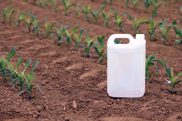 Mais Pestizidkanister Feld Mogelpackung Für Pflanzenschutzmittel — Stockfoto