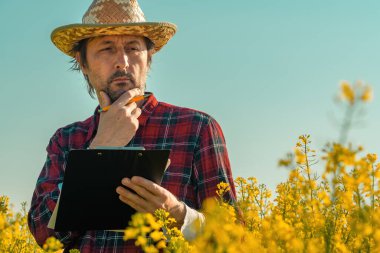 Yağ tohumu çiftçisi çiçek açan tarlada not defterine notlar yazıyor tarım işçisi tarım kontrolü yapıyor.
