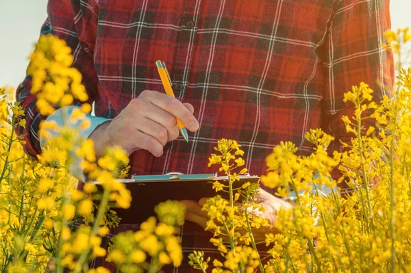 Rapsbauer Schreibt Notizen Auf Klemmbrett Notizblock Blühenden Feld Landwirt Führt — Stockfoto