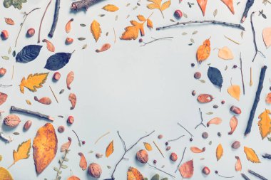 Düz sonbahar fotokopi alanı üst görünümü, soyut sonbahar sezonu düzenlemesi