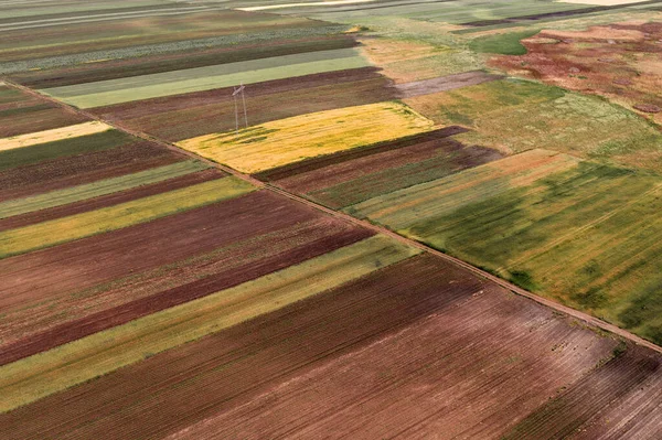 Tarımsal Tarlaların Hava Görüntüsü Insansız Hava Aracı Fotoğrafçılığı Soyut Doğal — Stok fotoğraf