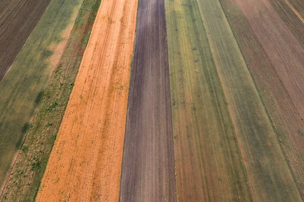 Vista Aérea Campos Cultivados Fotografia Drone Como Padrão Fundo Natural — Fotografia de Stock