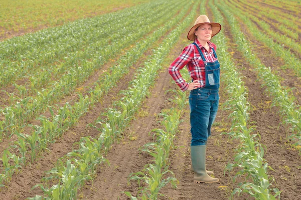 Mujer Agricultora Preocupada Pie Campo Maíz Mirando Sobre Los Cultivos —  Fotos de Stock