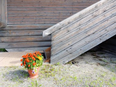 Pot sundurma ahşap evin, marigolds (Tagetes) ile