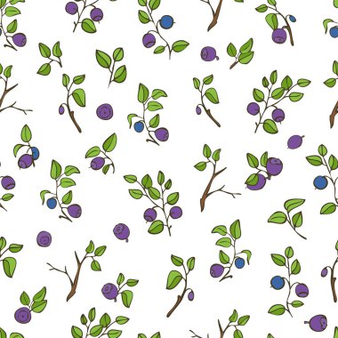 Doğal taze yaban mersini ile güzel seamless modeli. Elle çizilmiş kroki öğeleri beyaz arka plan üzerinde