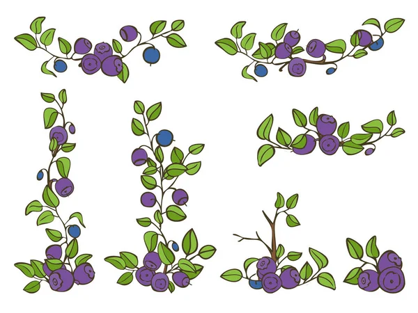 Set di mirtilli con bacche e foglie per la decorazione — Vettoriale Stock