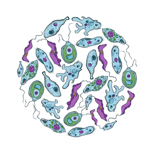 Cercle décoratif avec différents micro-organismes — Image vectorielle