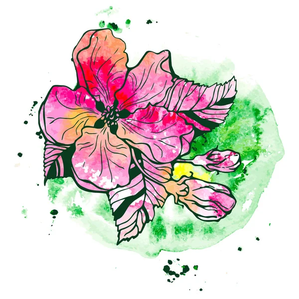 Fleurs printemps de pommier, dessin à la main — Image vectorielle