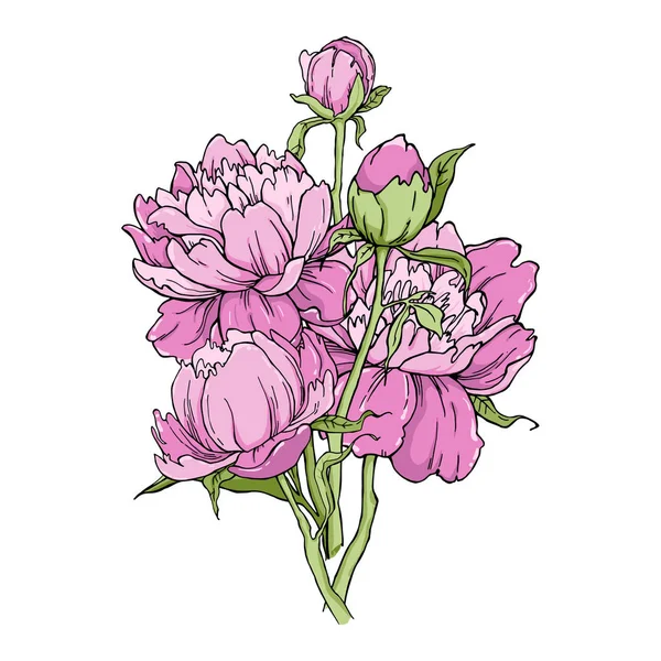 Buquê de flor de peônia isolado no fundo branco. Elemento para design. Linhas de contorno desenhadas à mão —  Vetores de Stock