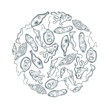 Farklı mikroorganizmalar ile dekoratif daire