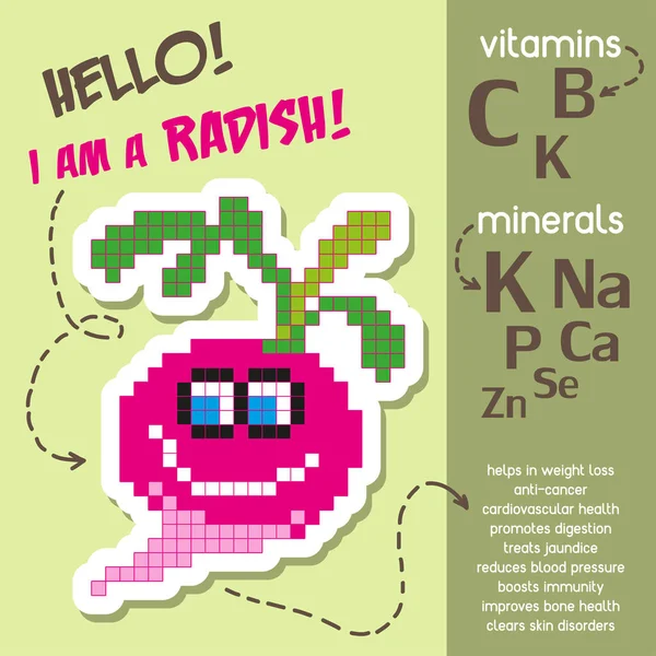 Infografica Creativa Vitamine Minerali Nel Ravanello Benefici Salute Del Ravanello — Vettoriale Stock