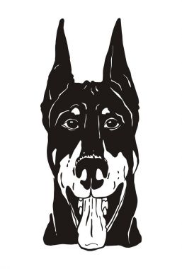 Beyaz arka plan üzerinde portre köpek, el çizim illüstrasyon izole