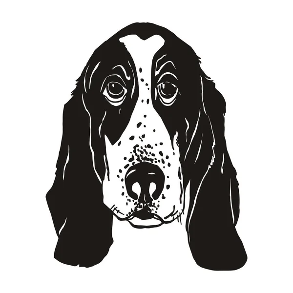 Perro retrato, ilustración de dibujo a mano, aislado sobre fondo blanco — Vector de stock