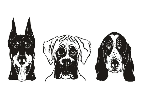 Ensemble Trois Portraits Chien Illustration Dessin Main Isolé Sur Fond — Image vectorielle