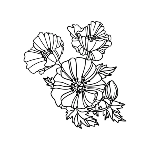 Flores lineales de amapola — Vector de stock