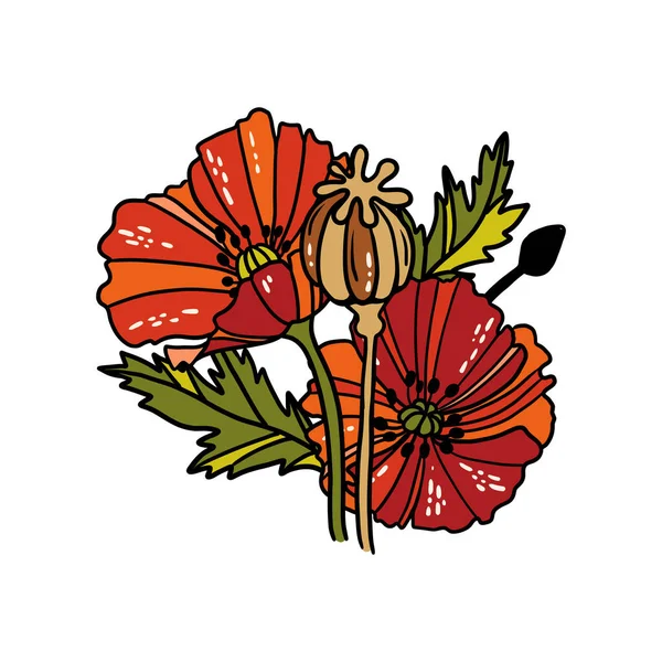Flores lineales de amapola — Vector de stock