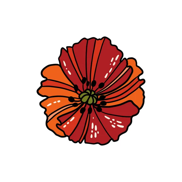 Lineaire papaverbloemen — Stockvector