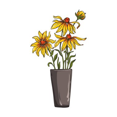 Vazoda Rudbeckia çiçeği