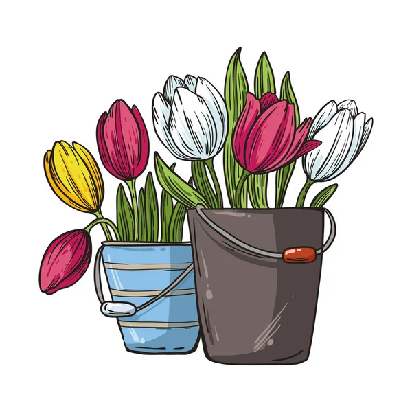 Bouquet of tulips on a bucket — 스톡 벡터