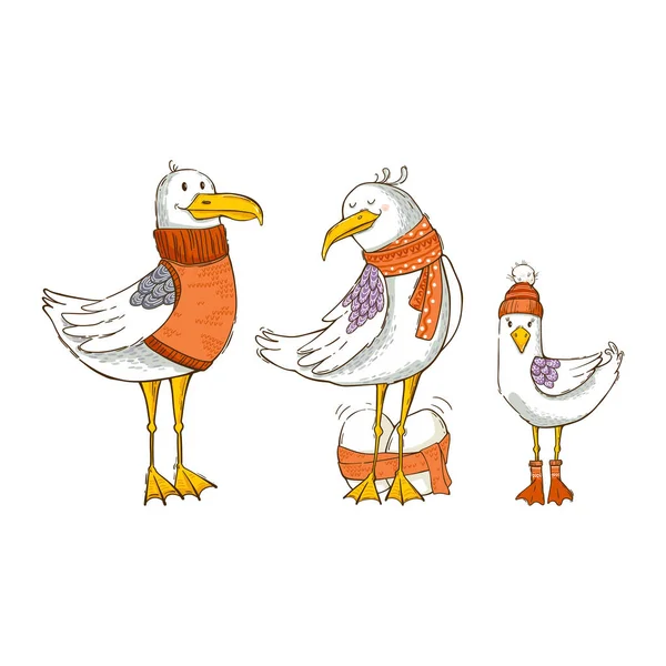 Three gulls, family, isolated on a white background — 스톡 벡터