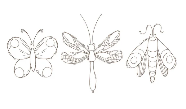Szett Három Pillangó Vázlat Illusztráció Elszigetelt Fehér Háttér Vektorillusztráció — Stock Vector