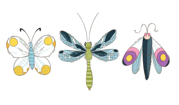 Zestaw Trzech Kolorowych Motyli Ilustracja Zarys Izolowane Białym Tle Ilustracja — Wektor stockowy