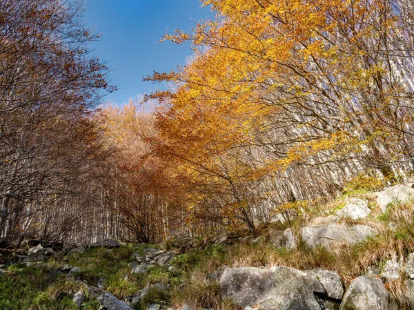 Spätherbstliche Natur. Felsen und bunte Bäume im Parco dei Cento Laghi, einem Park mit hundert Seen, im Nationalpark der Apenninen, Italien. Stockbild