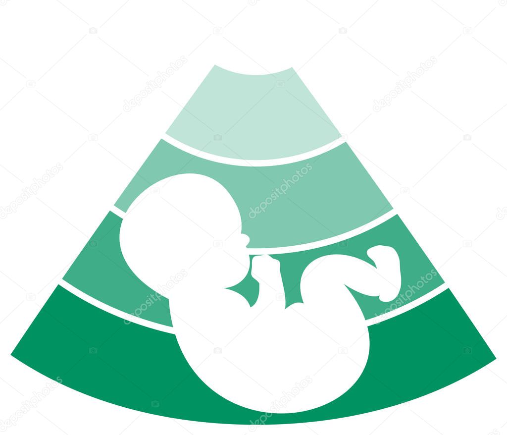 Fetus silhouette design - vector medical background