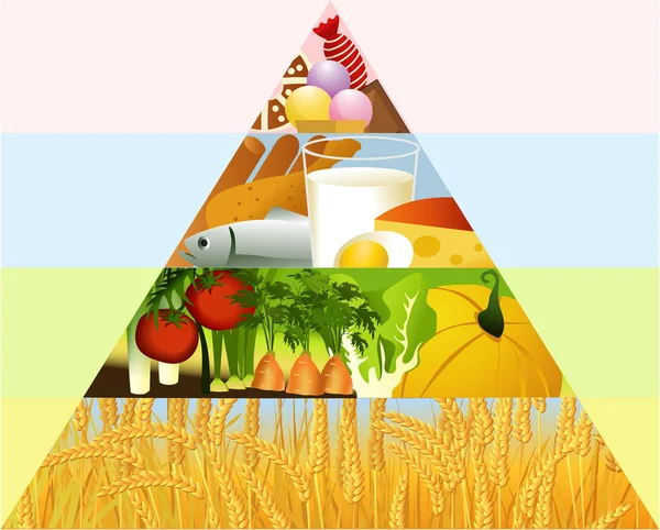 Healthy food pyramid — Stock Vector
