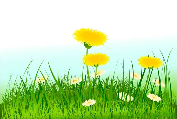 Frühlingswiese Mit Frischem Gras Und Blumen — Stockvektor