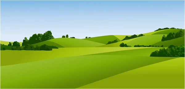 Сельский Пейзаж Зелеными Полями — стоковый вектор