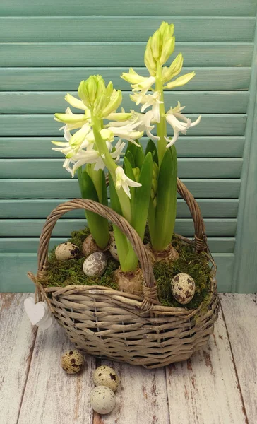Flores y huevos en cesta —  Fotos de Stock